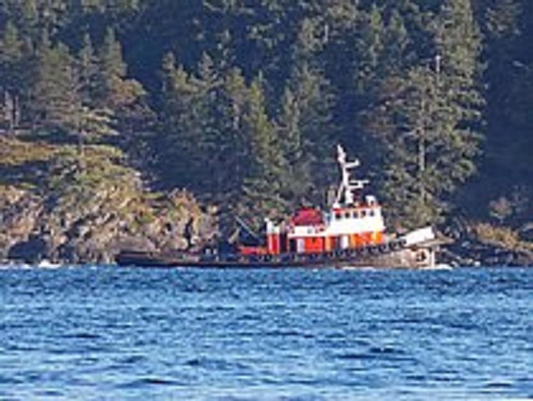 Sea Warrior