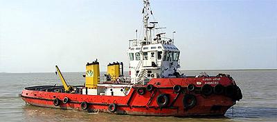 Birsingha