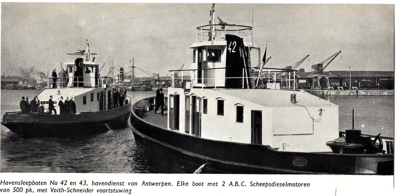 Wesp (A 955)