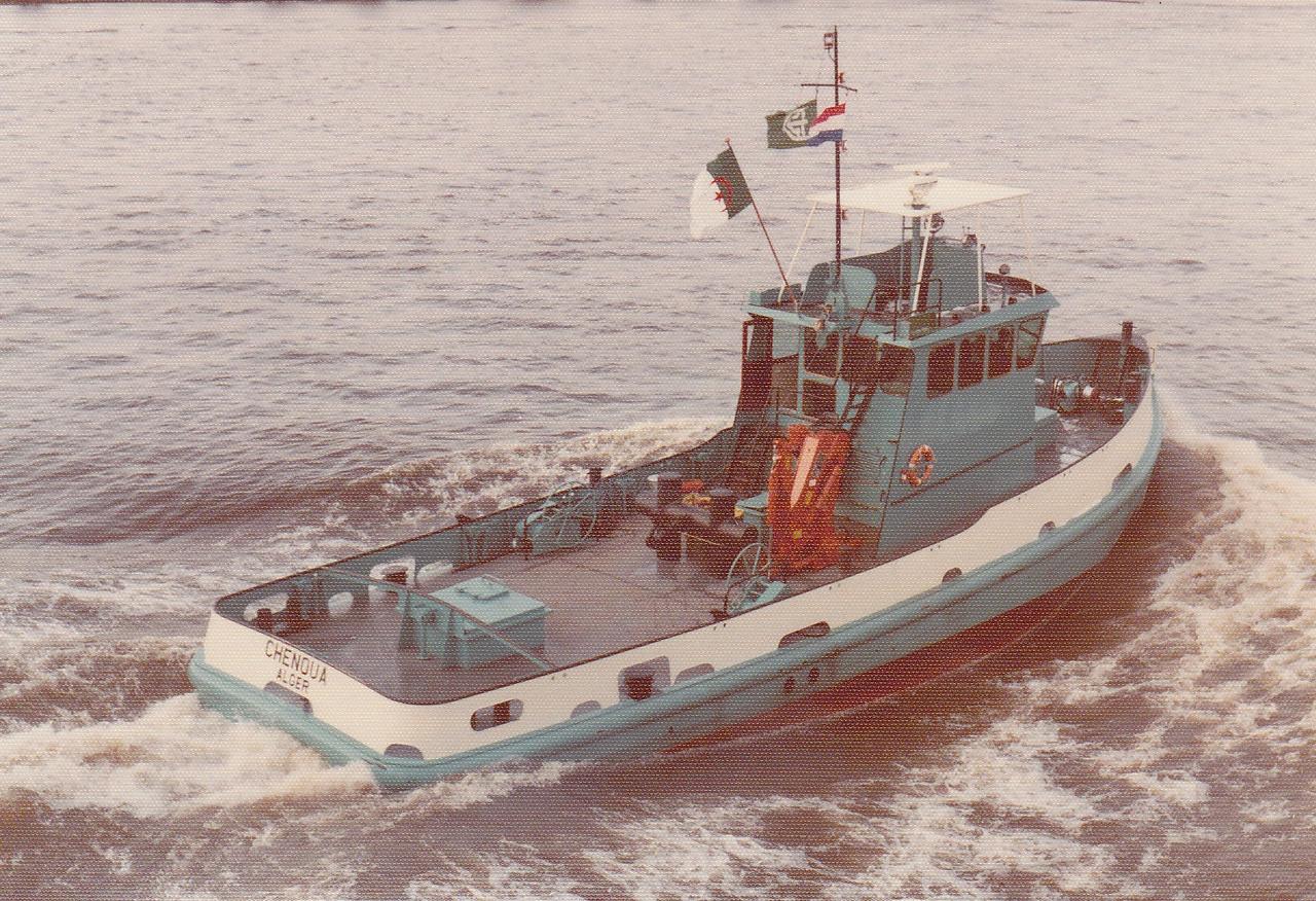 Damen IV