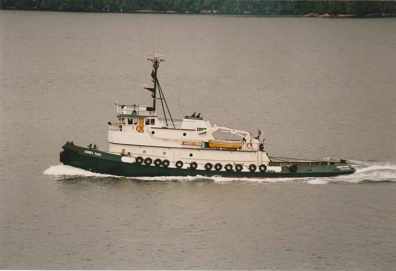 Pacific Raven