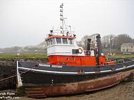 Shannon Estuary