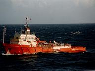Grampian Falcon