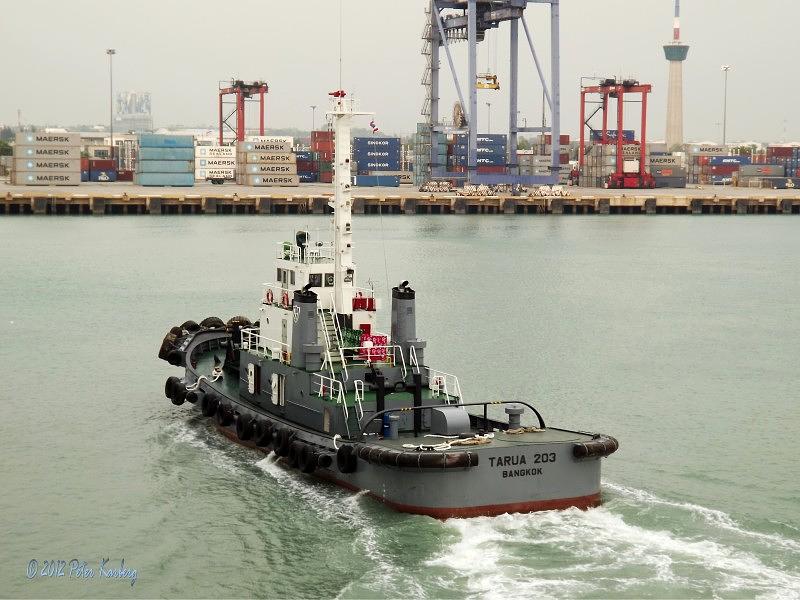 Tarua 203