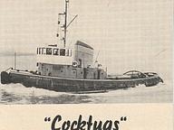 Vernicos Alexia