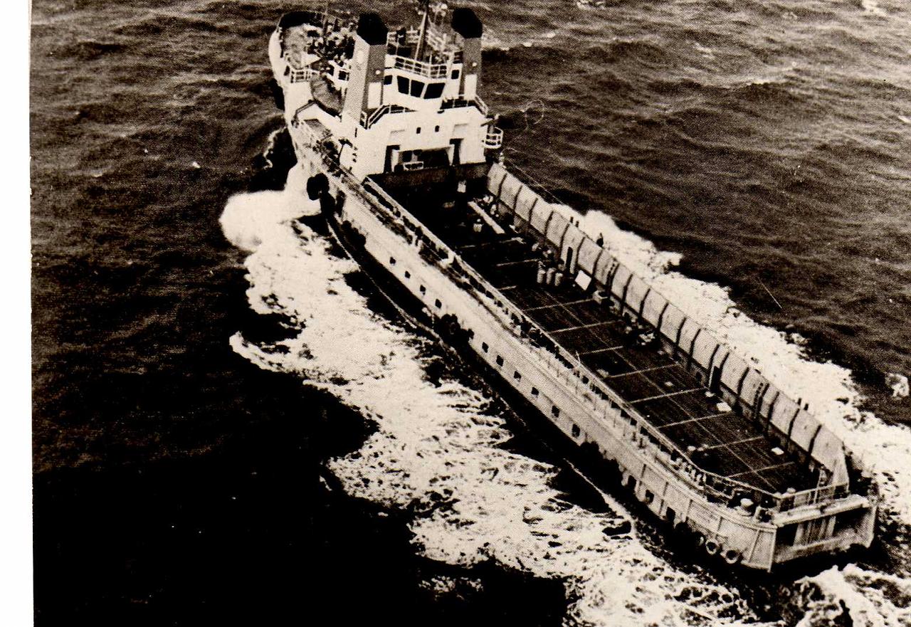 Sea Tiger