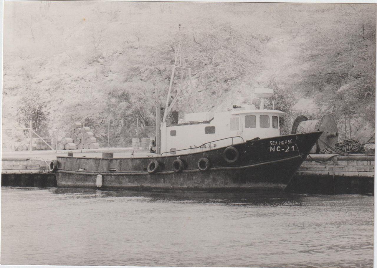Sea Horse Nc 21