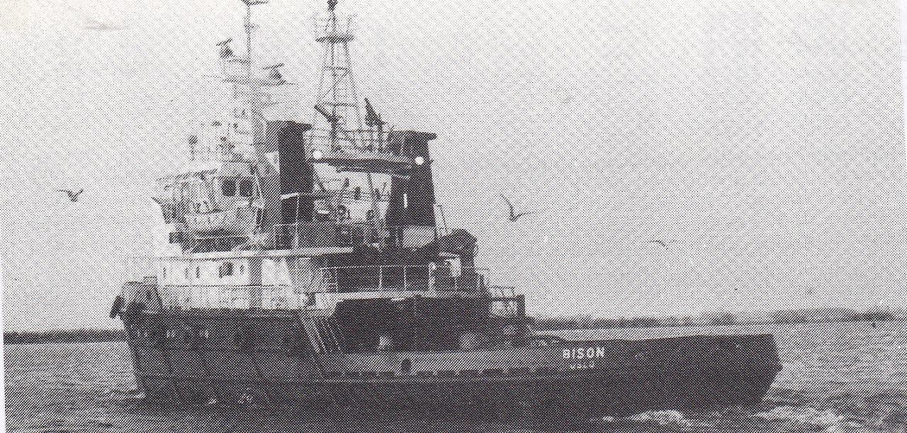 Sea Diamond V