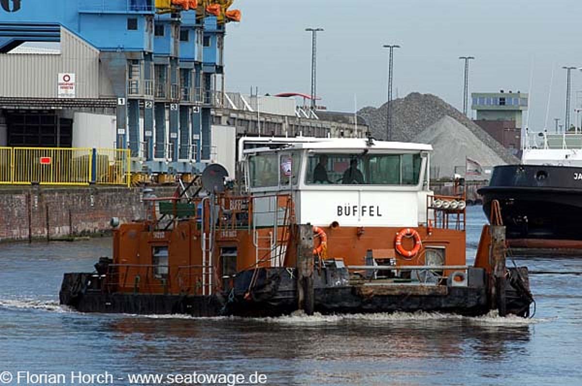 Buffel