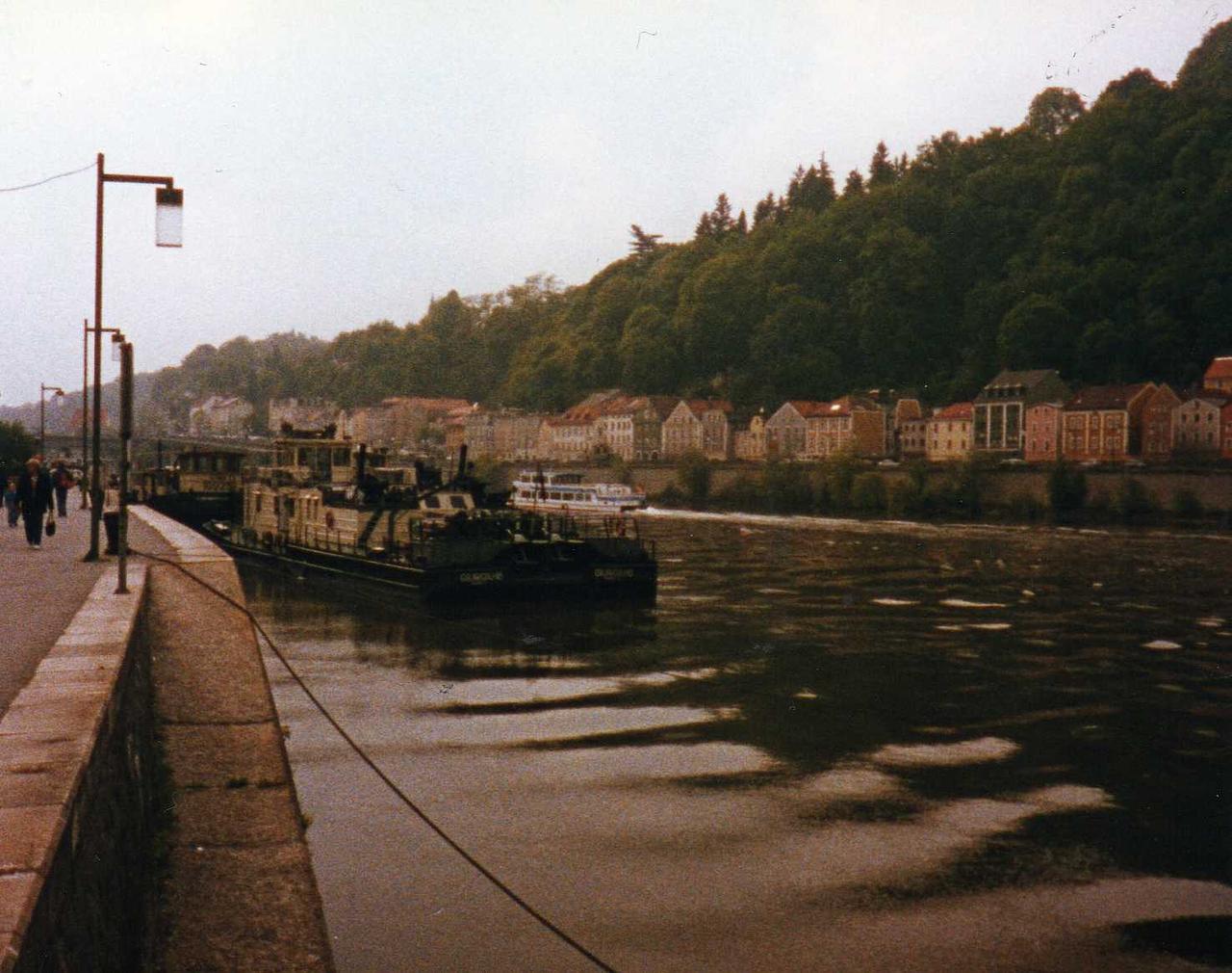 Gaurovie