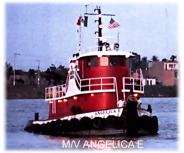 Angelica E.