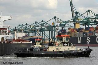 Antwerpen 31 (3)