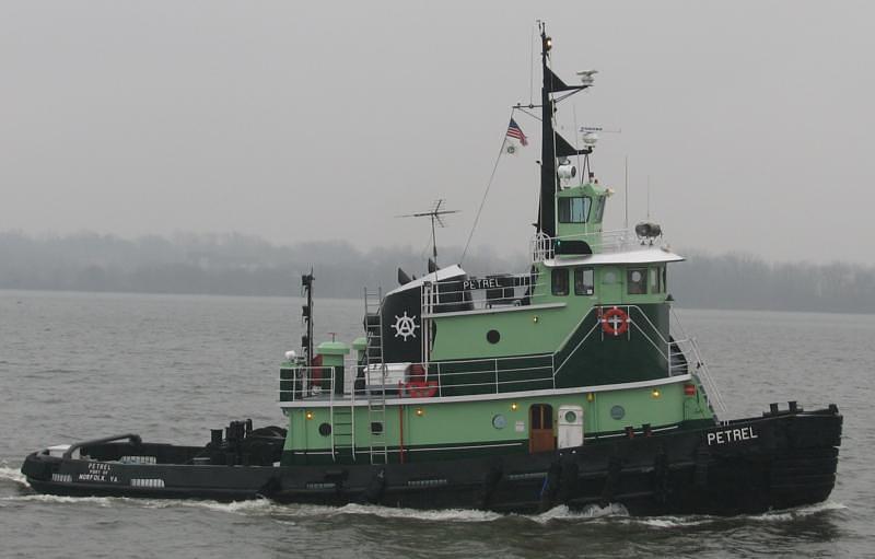Petrel