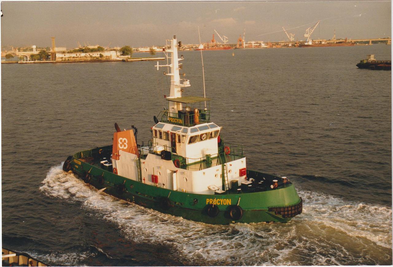 Procyon