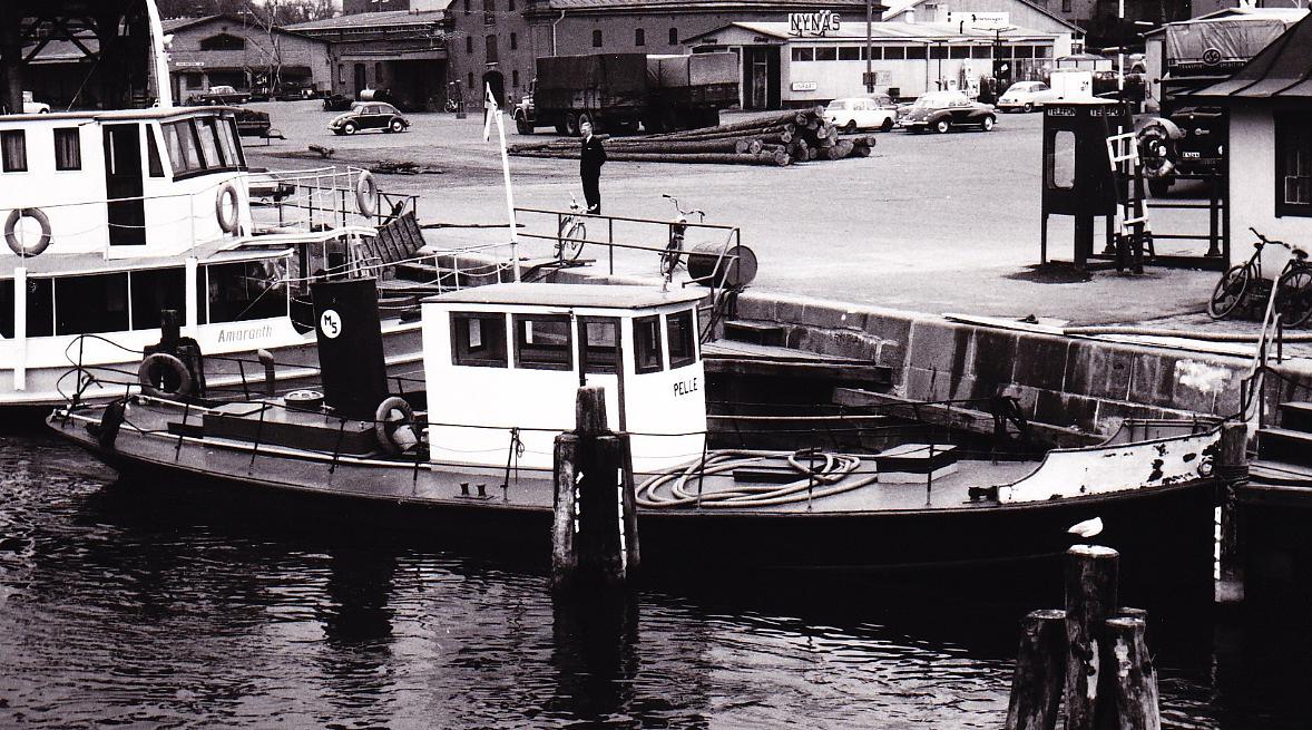 Pelle