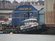 Albatros