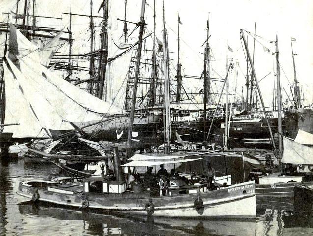 Ricardo Alfredo