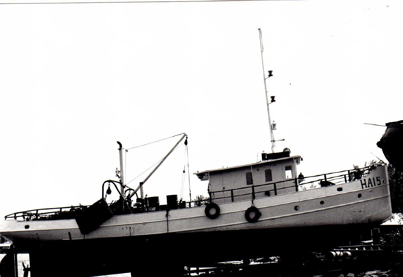 Marita (Ha15)