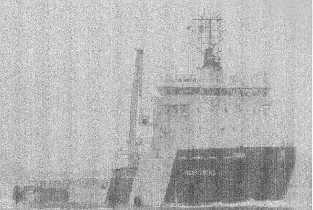 Vidar Viking
