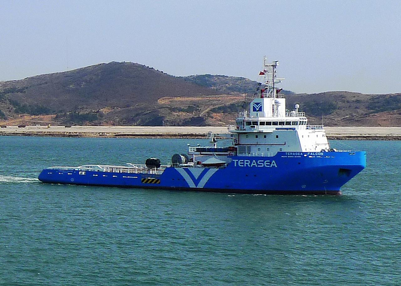 Terasea Falcon
