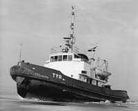 Tyr (2)