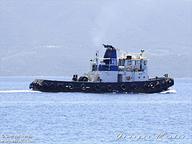Captain Dimitris