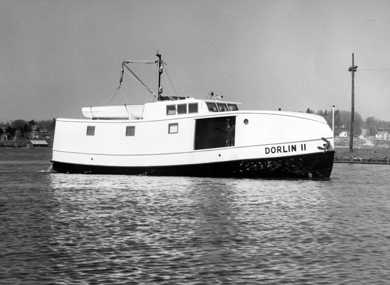 Dorlin II