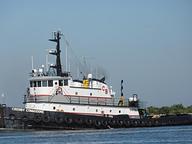 Crosby Commodore