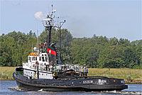 Arion