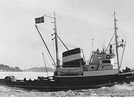 Stanford Rhine