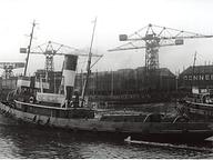 Dunfalcon
