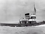 Triva II