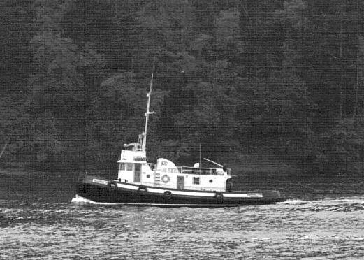 Harmac Pine
