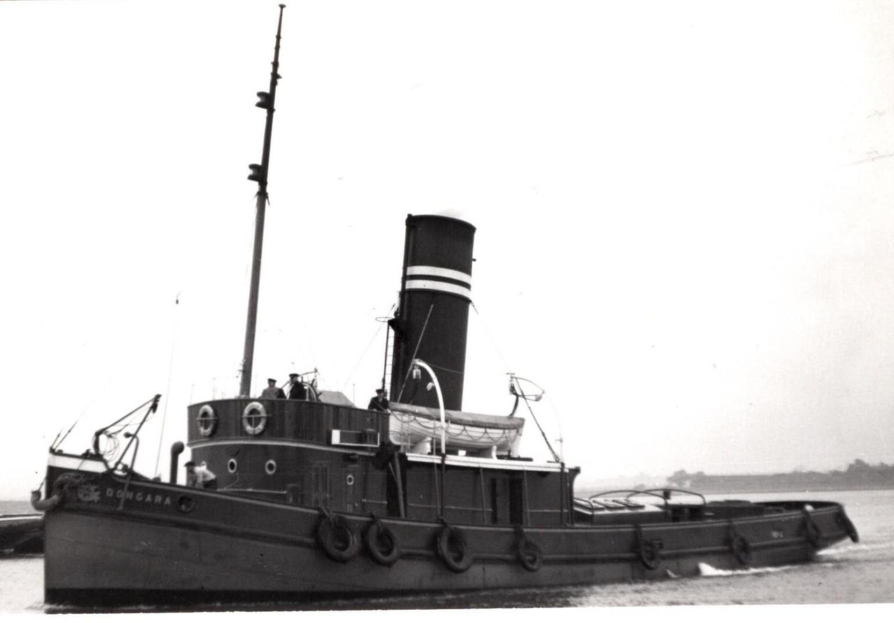 Muria (2)
