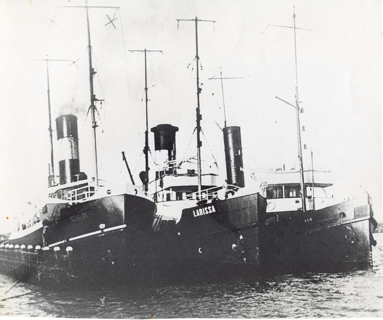 Oliva