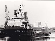 Augustea Quattro (4)