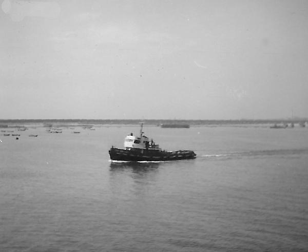 Eng. Von Haffe