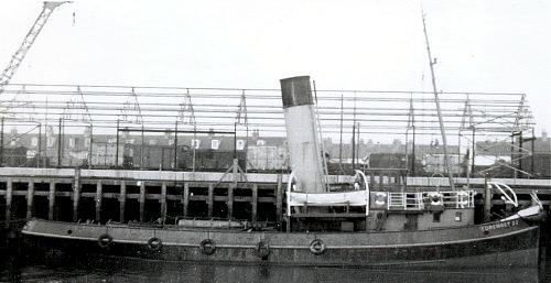 Terranova