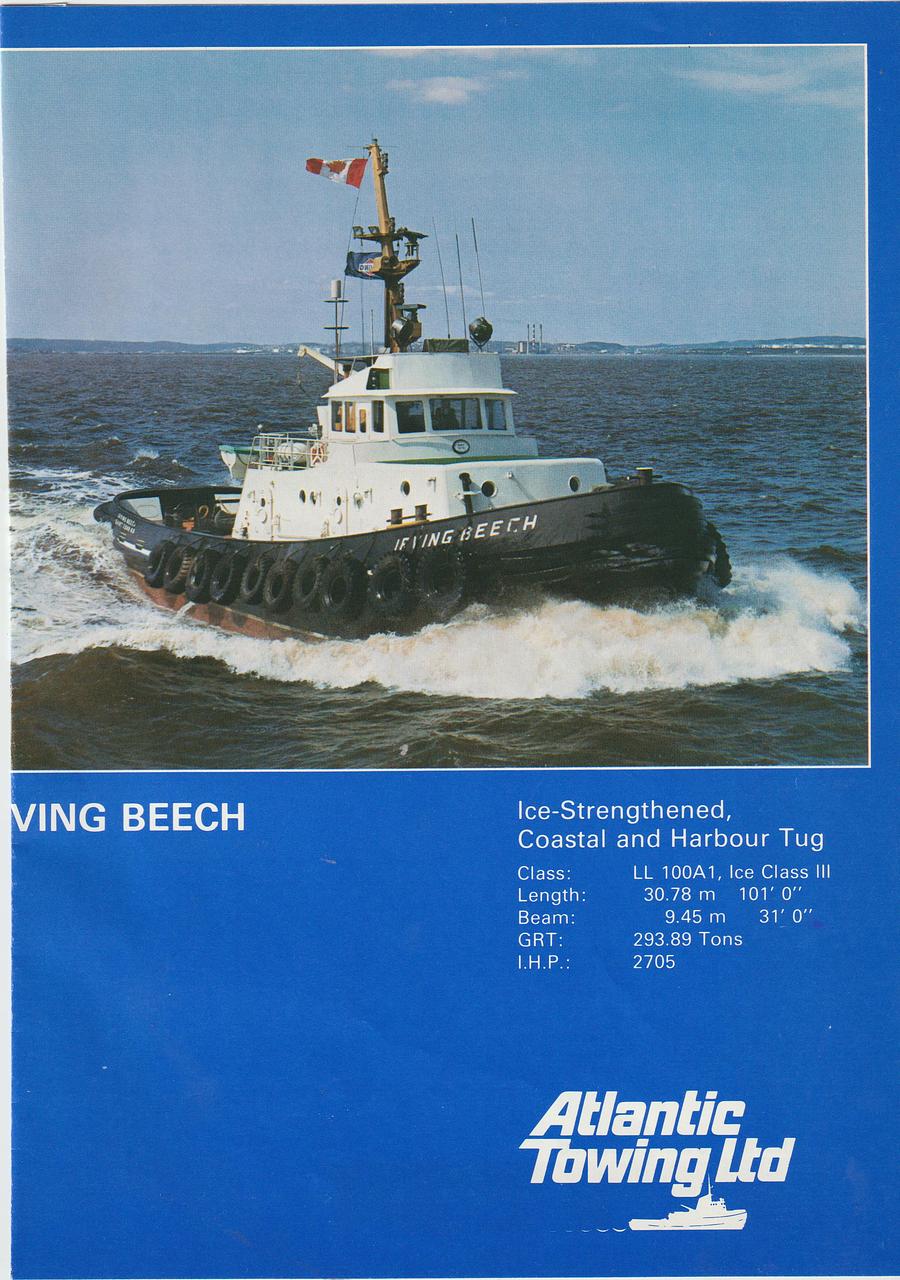Atlantic Beech