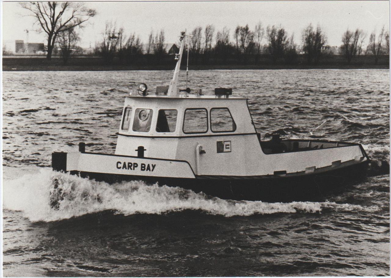 Carp Bay