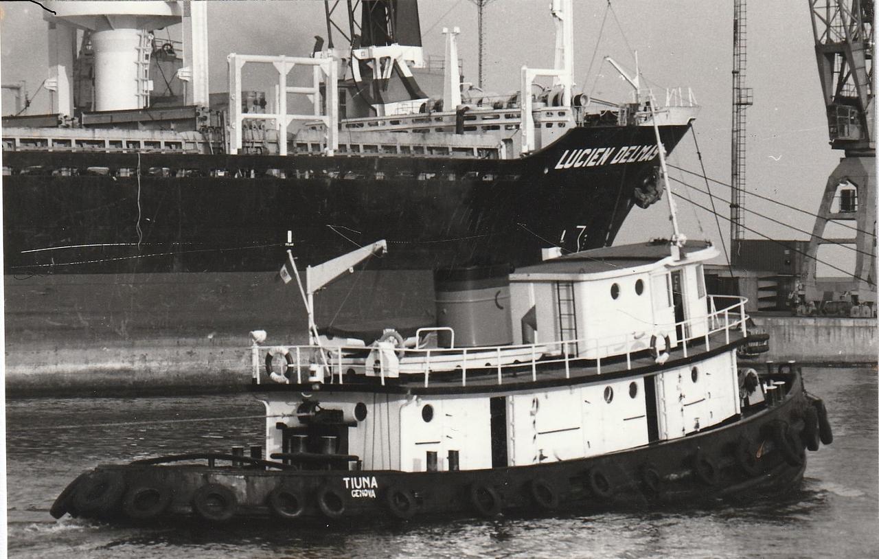 Tiuna