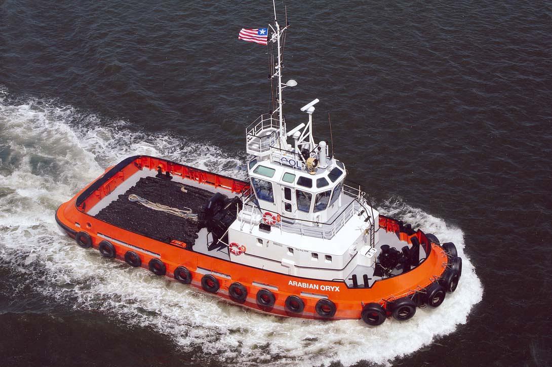 Arabian Oryx