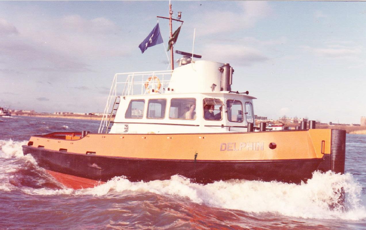 Delphin