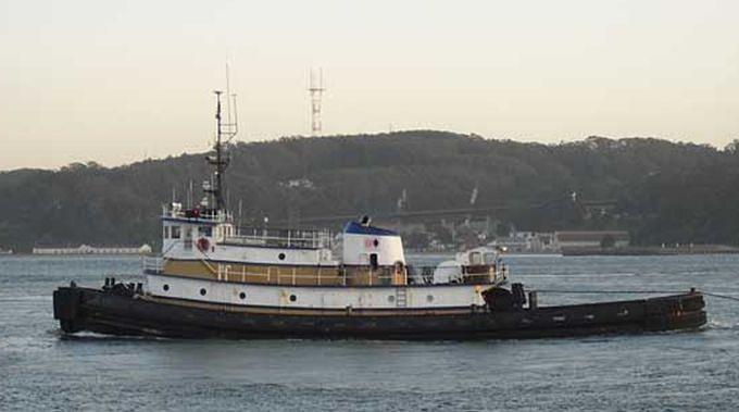 Pacific Falcon