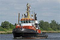 Wolf