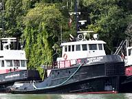 North Arm Diligent