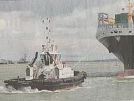 Sea Buffalo