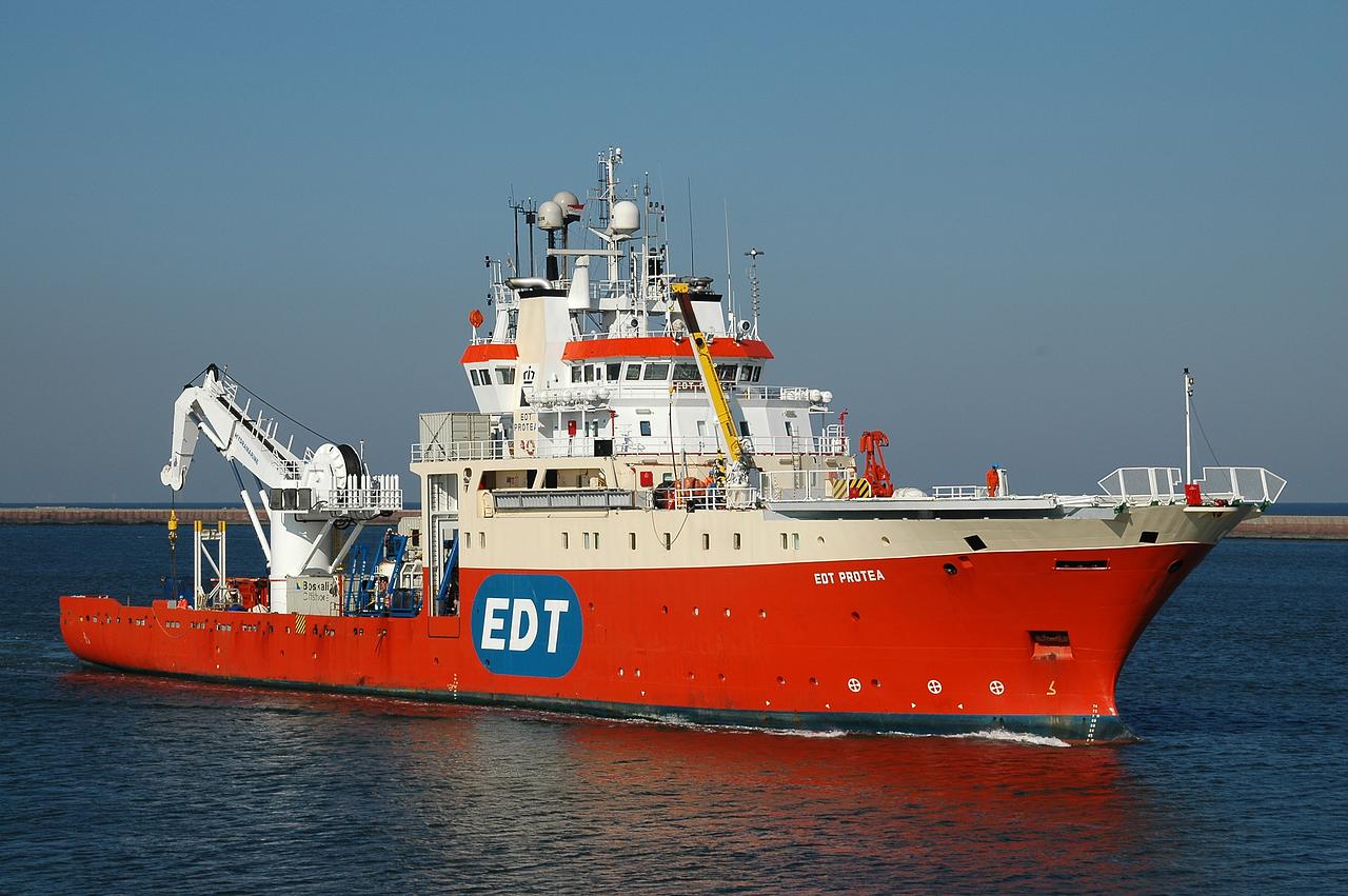 Edt Protea