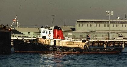 Sea Hawk