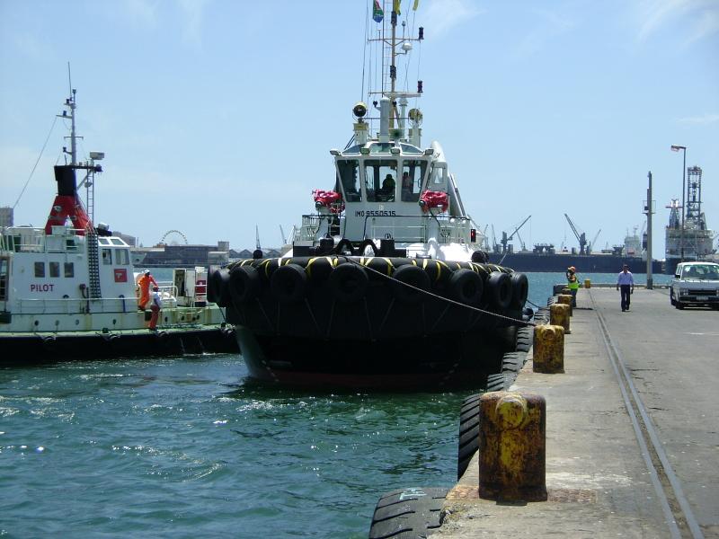 Nyangumi